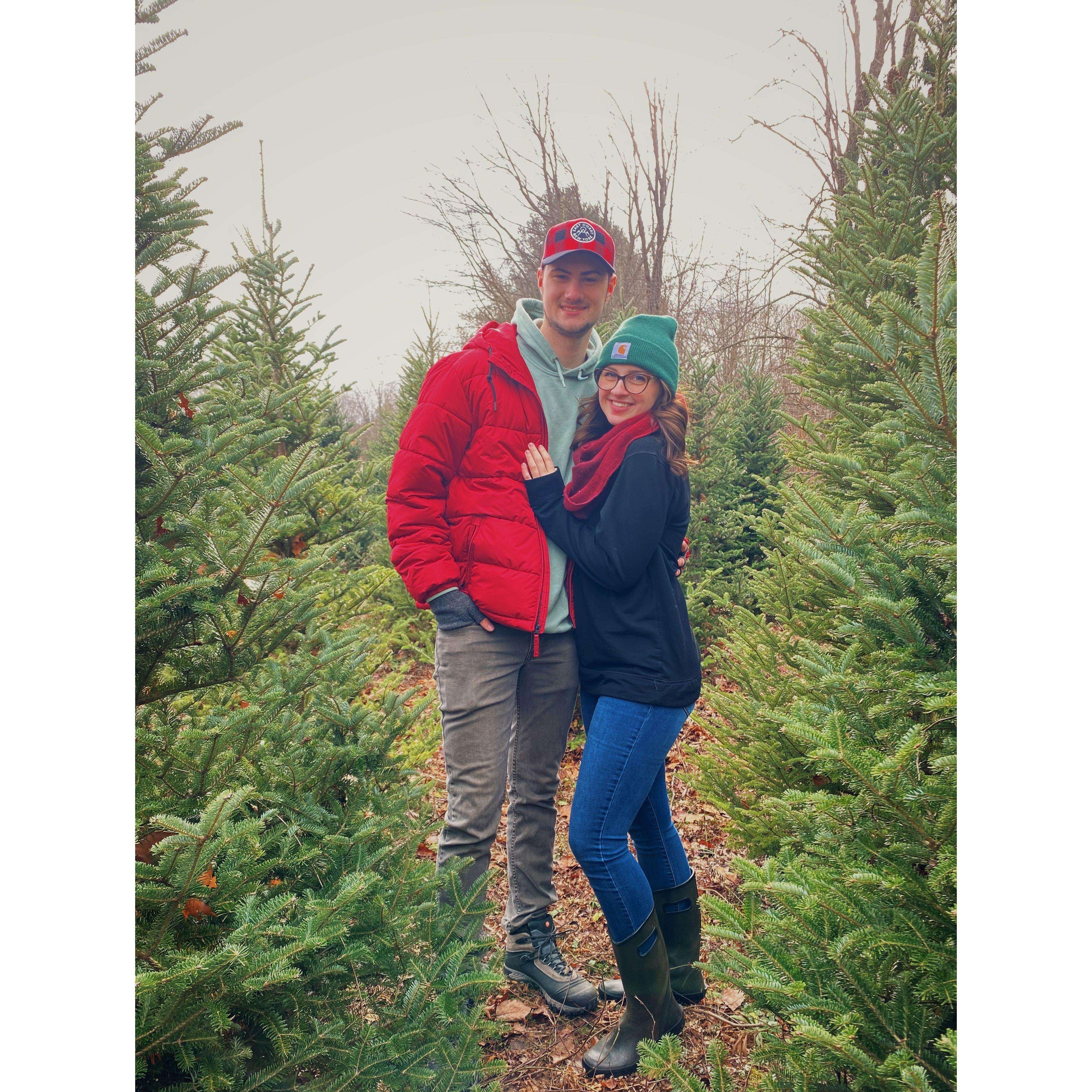 11/25/2023 - Annual Tree Chop
