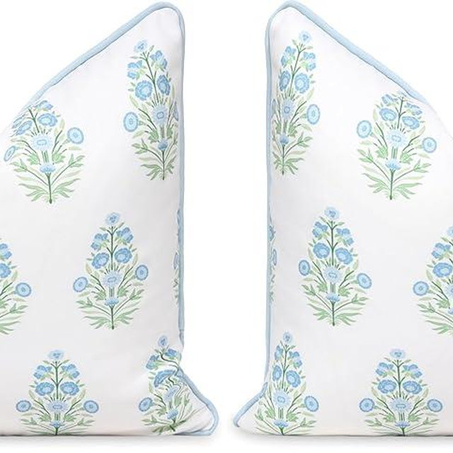 Hofdeco Premium Coastal Patio Indoor Outdoor Throw Pillow Cover Only, 18"x18" Water Repellent for Backyard, Couch, Baby Blue Green Floral with Piping (Pack of 2)