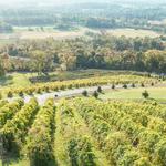 Wineries & Breweries