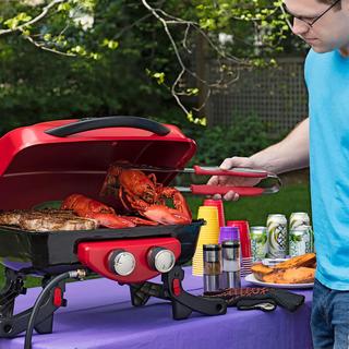 Dual Blaze 2-Burner Portable Gas Grill