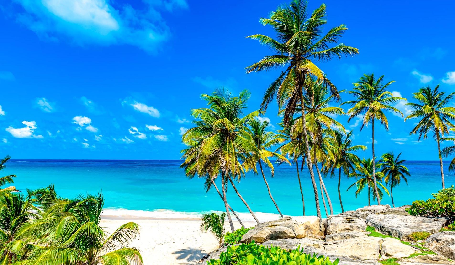 0756bcb9-64d0-45b1-b07e-125ece8a7e2b