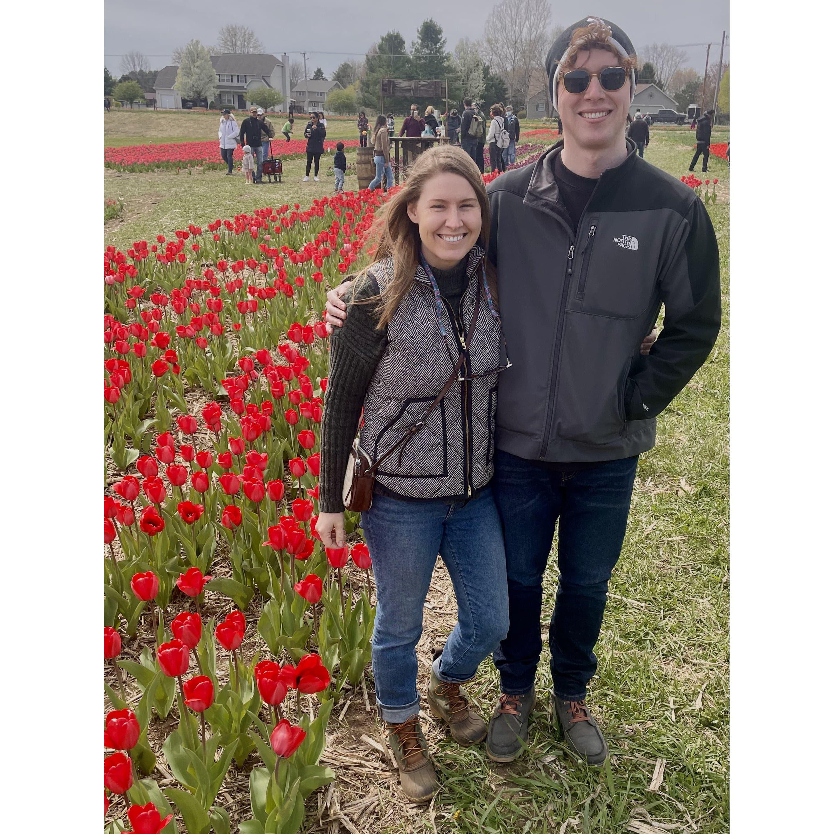 Tulip Farm | April 2021