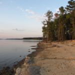 Jordan Lake State Recreation Area