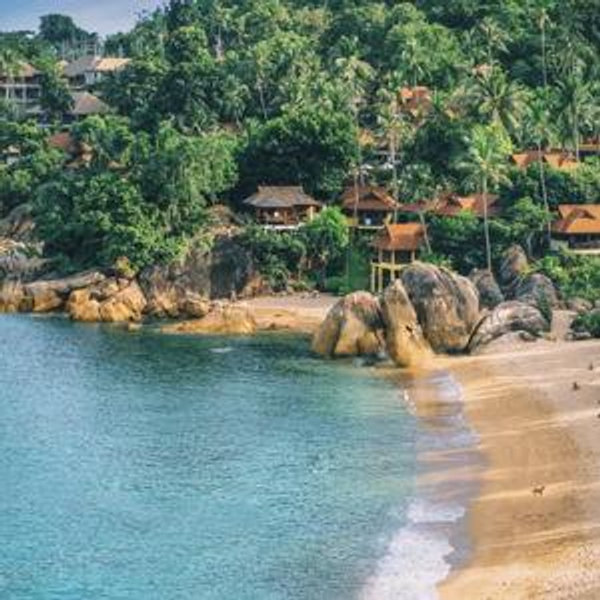 Honey Moon Fund
