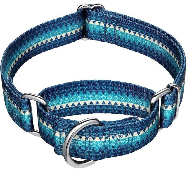 Dazzber Martingale Dog Collar for Fashion Print Pattern and No Pull Pet Collar , Silky Soft Safety Training Collars for Medium and Large Dogs (Medium, Turquoise)