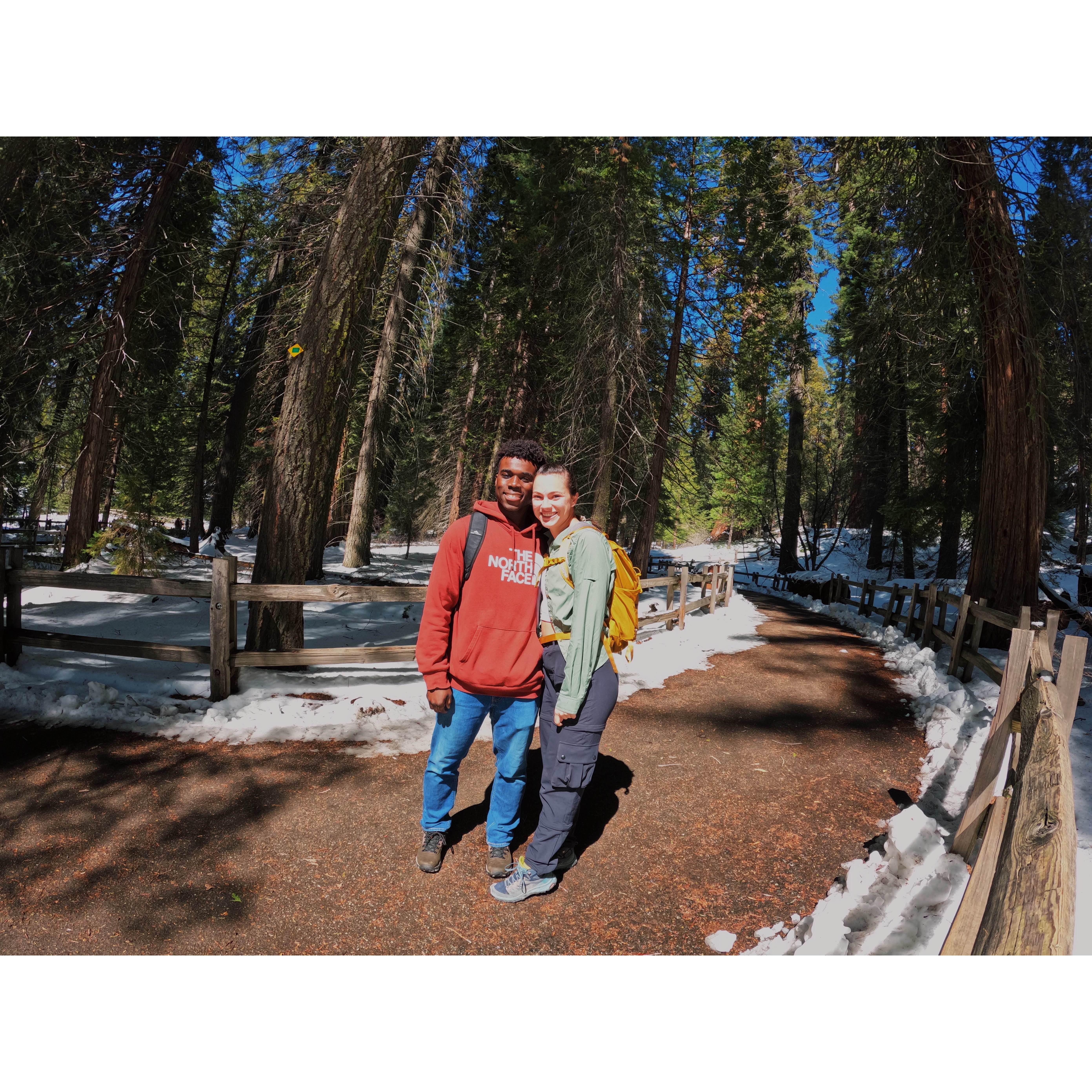 March 9, 2022 - Sequoia National Park
