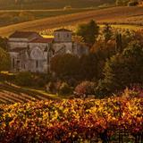 Cognac