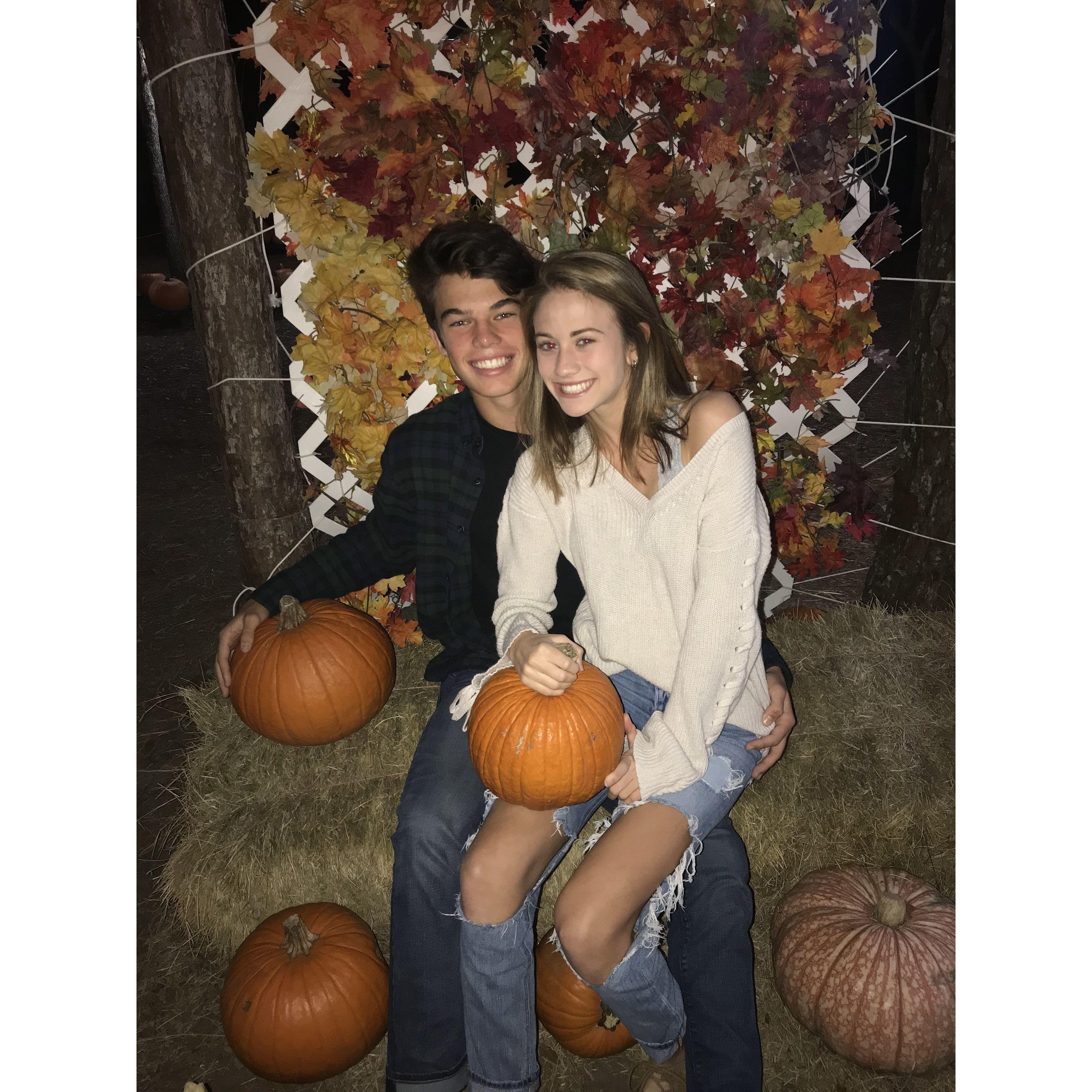 Babies at a pumpkin patch!