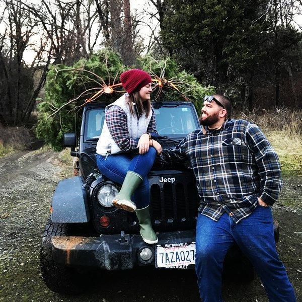 We cut down trees!
