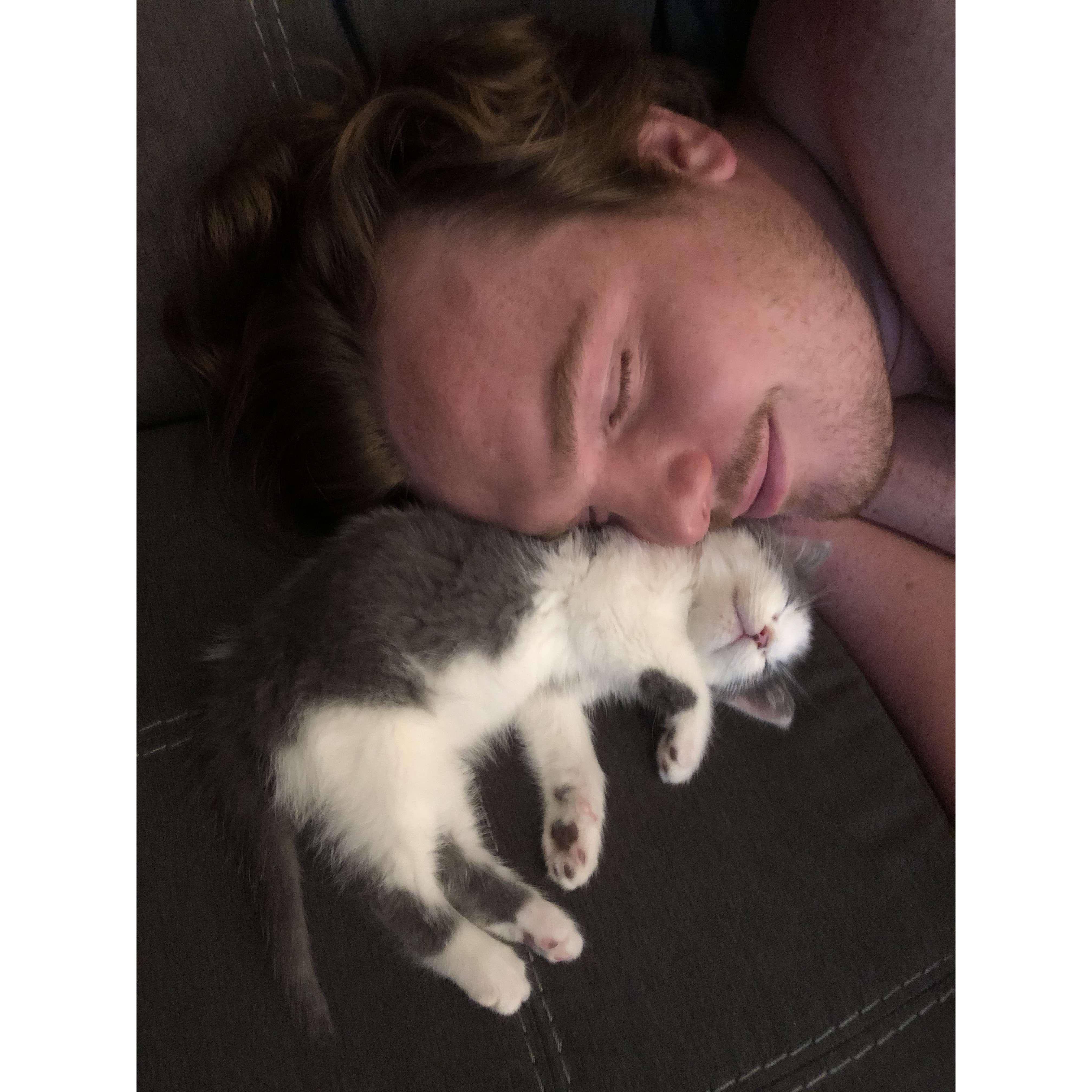 Our First Pet Rocky, 2020