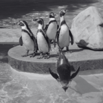 Lincoln Children's Zoo