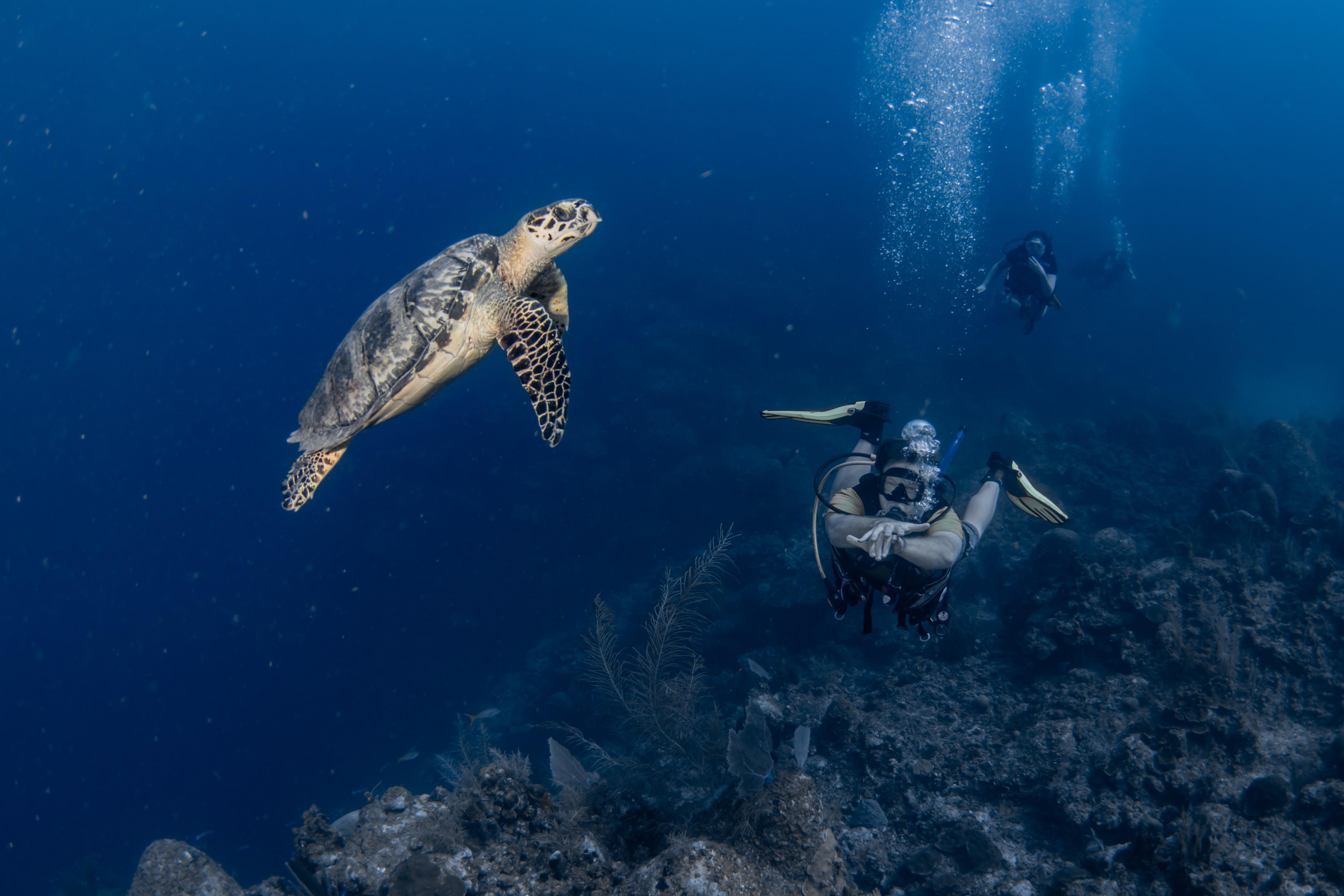 076128bd-530c-4baa-a6a2-ba9d37778bd3