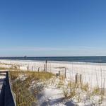 Blue Dolphin Beachwalk