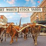 Fort Worth Stockyards Station