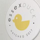 Essex Duck
