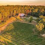 Terra Incognita Vineyard