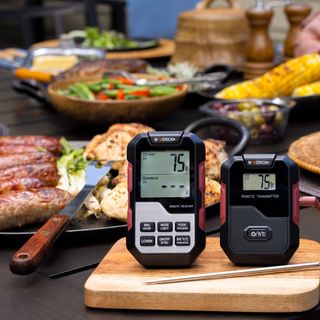 Dual Probe Professional Wireless Thermometer & Timer