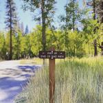 Anderson's Bicycle Rental