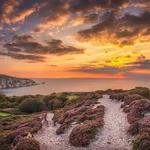 Headon Warren