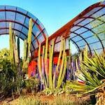 Phoenix Botanical Garden