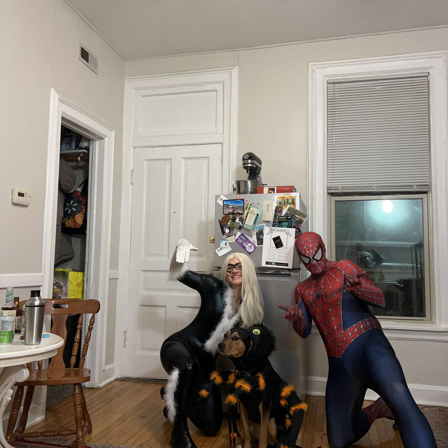 Halloween is forever our favorite holiday! Zelda somehow is always a spider. She loves it though