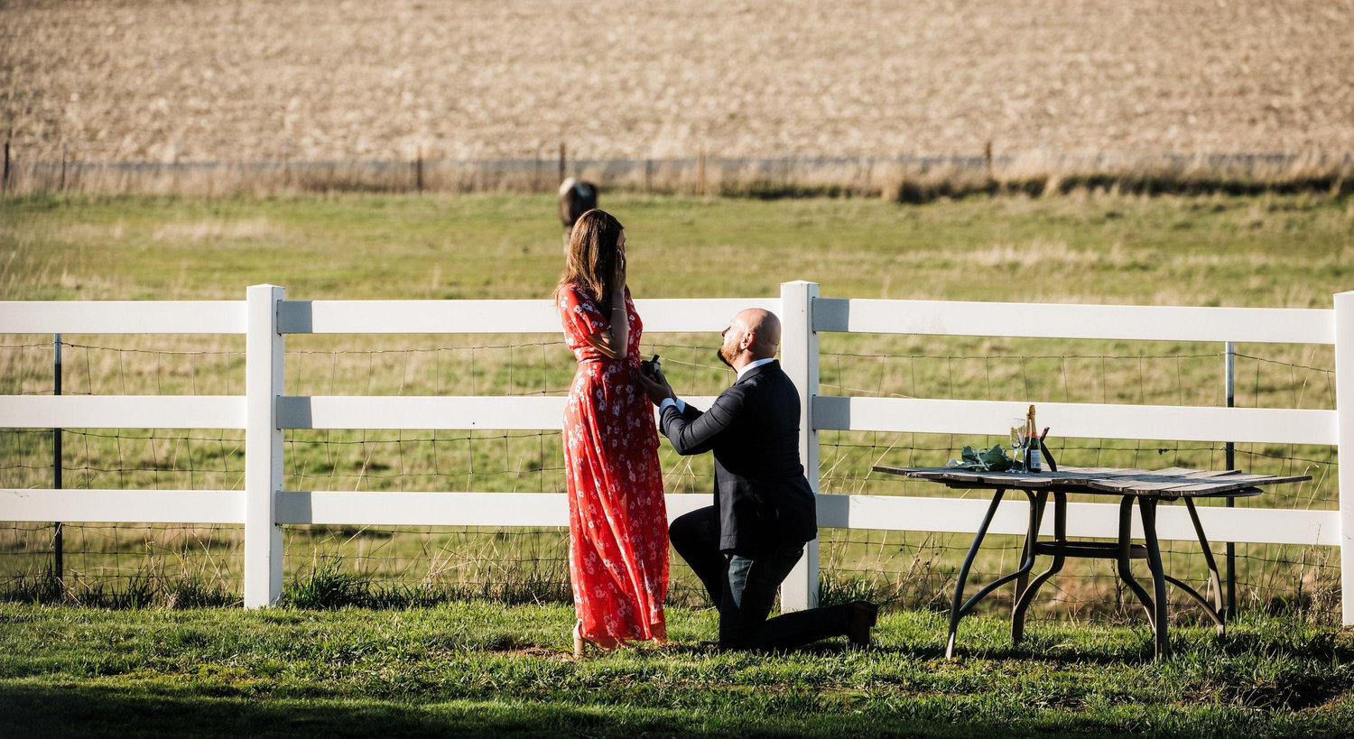The Wedding Website of Will Spencer and Tamara Schoolland