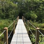 Cranberry Bog Nature Preserve