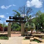 The Bosque along the Concho River