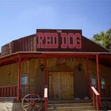 Hang at The Red Dog Saloon