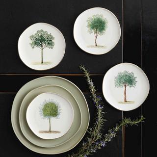 Lithographie Trees Plates, Set of 4