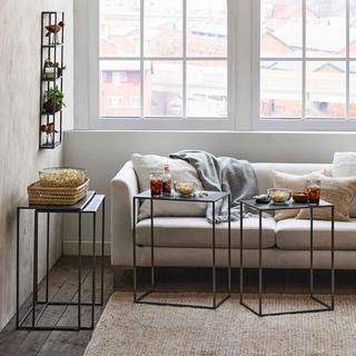Framework TV Trays, Set of 4