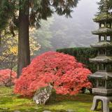 Portland Japanese Garden