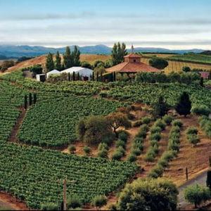 Honeymoon Wine Tasting