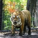 John Ball Zoo