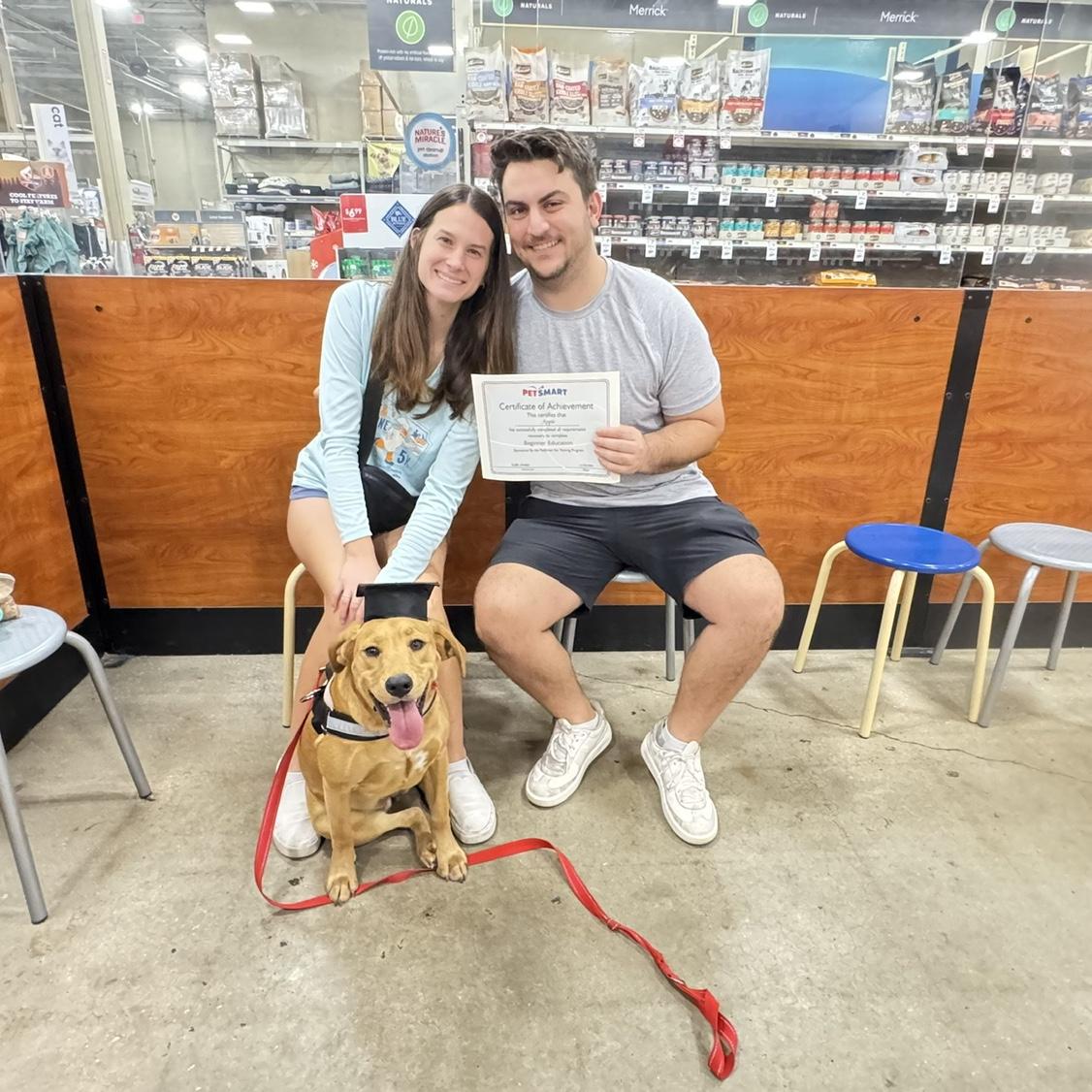 Apple graduated puppy class November 2024