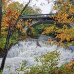 Whatcom Falls Park
