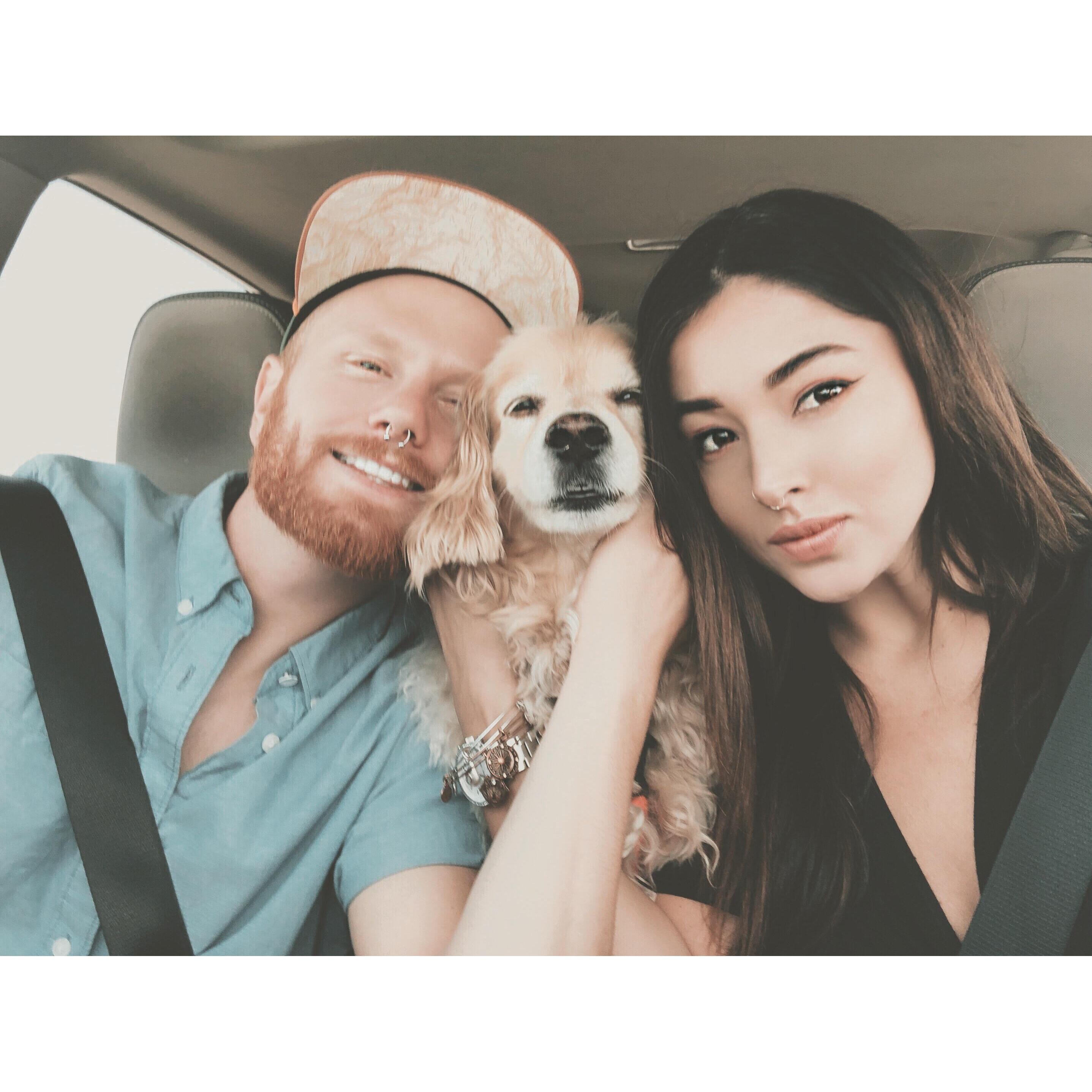 Our little family! Everyone meet Turkey, our fluff ball.
