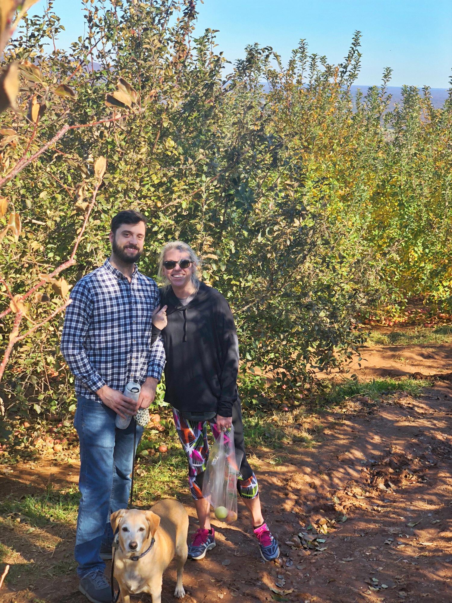 Apple Picking at Carter Mountain 2018