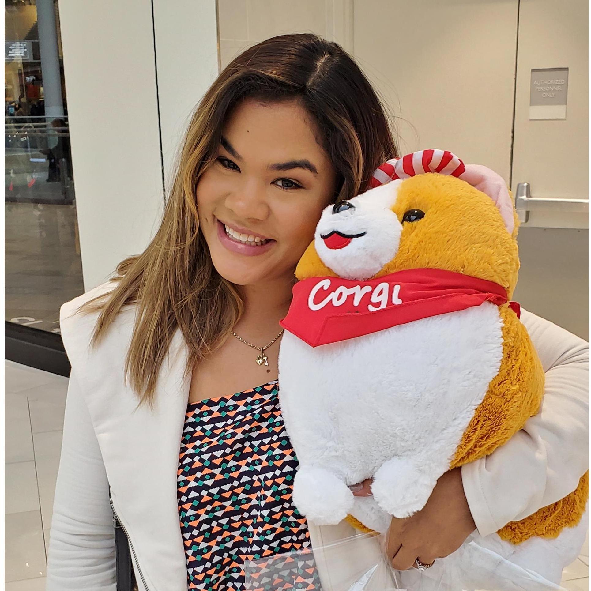 During our anniversary trip to Minneapolis, we got to visit the Mall of America and someone got a very fluffy, stuffed corgi.
