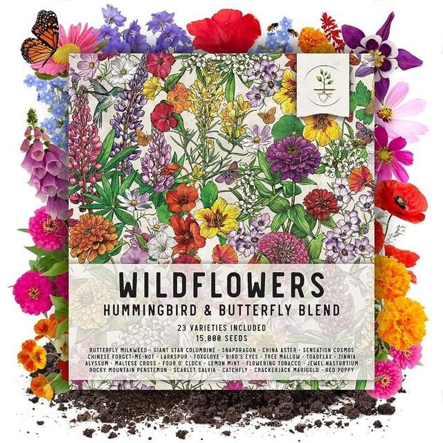 Seed Needs, 15,000+ Hummingbird and Butterfly Seed Mixture for Planting (99% Pure Live Seed - NO Filler) 20+ Varieties, Annual Perennial - Bulk