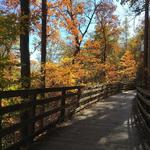 Saunders-Monticello Trail