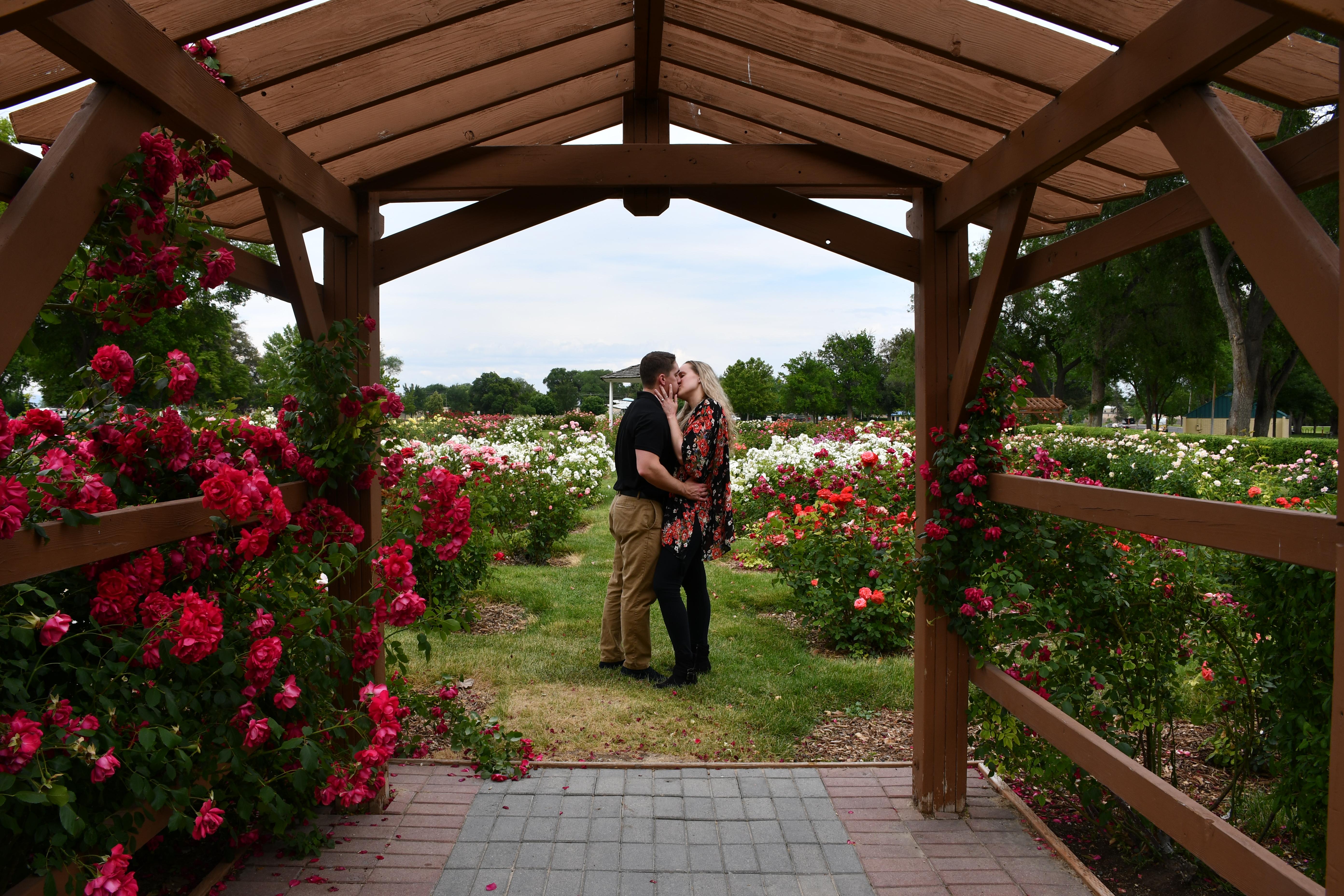 The Wedding Website of Abigail Johnston and Nicholas Janes