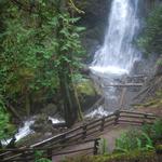 Marymere Falls Trail