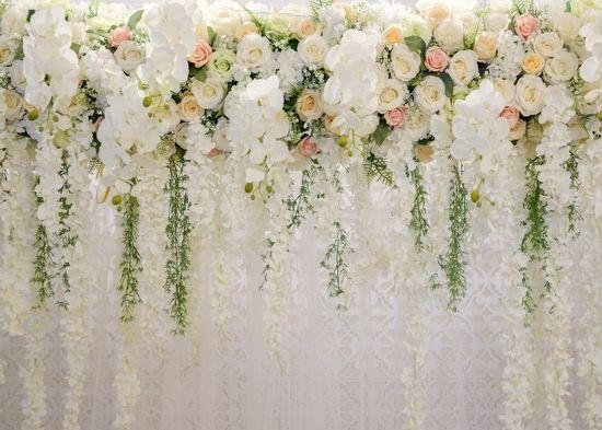 The Wedding Website of Vincent Bonanno and Sandra Musitelli