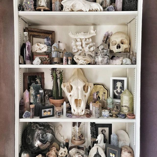 Oddities Mystery Box, Oddity, Surprise,...
