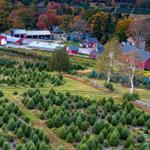 Homestead Farm of Jones Family Farms