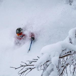 Niseko Lift Tickets