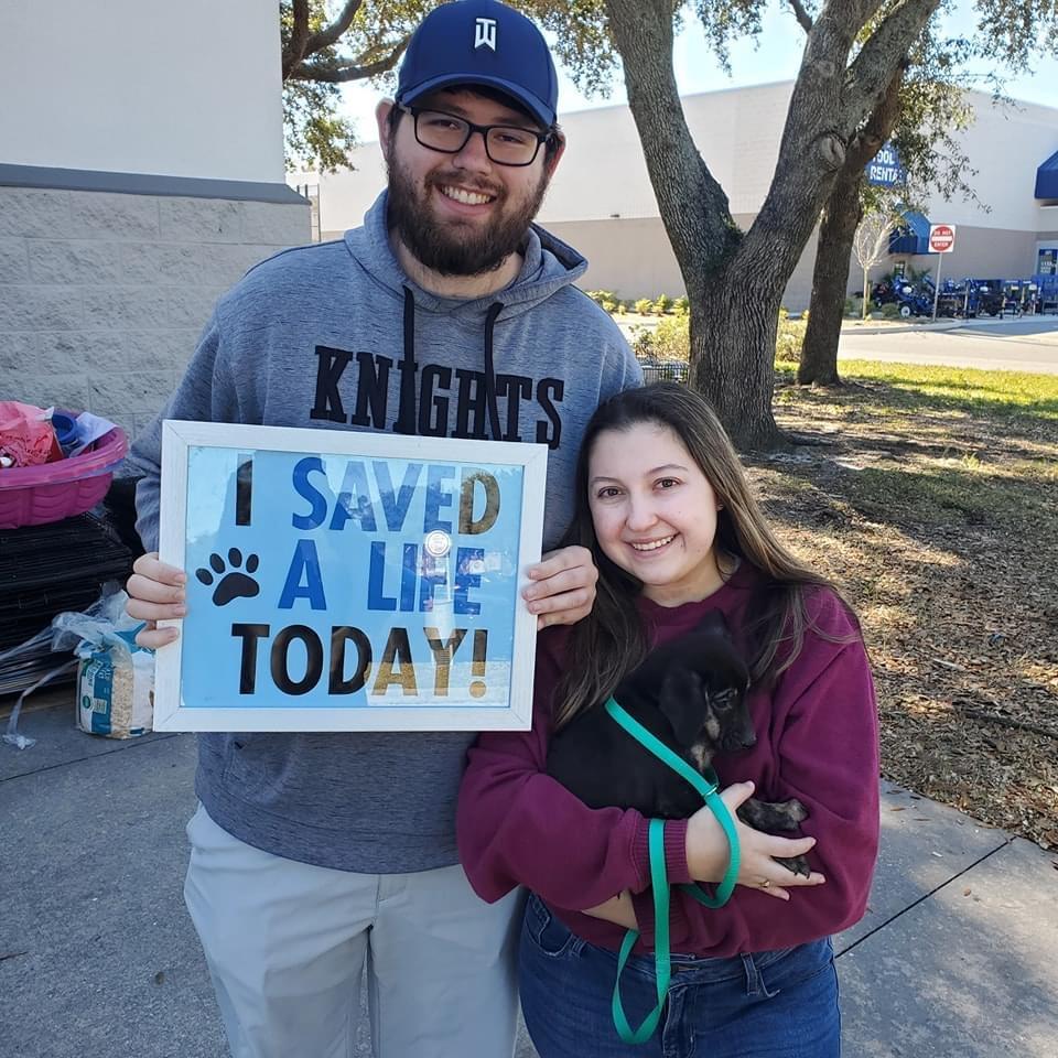 Surprise! (to us) - we rescued Morgan