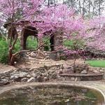 Slayton Arboretum