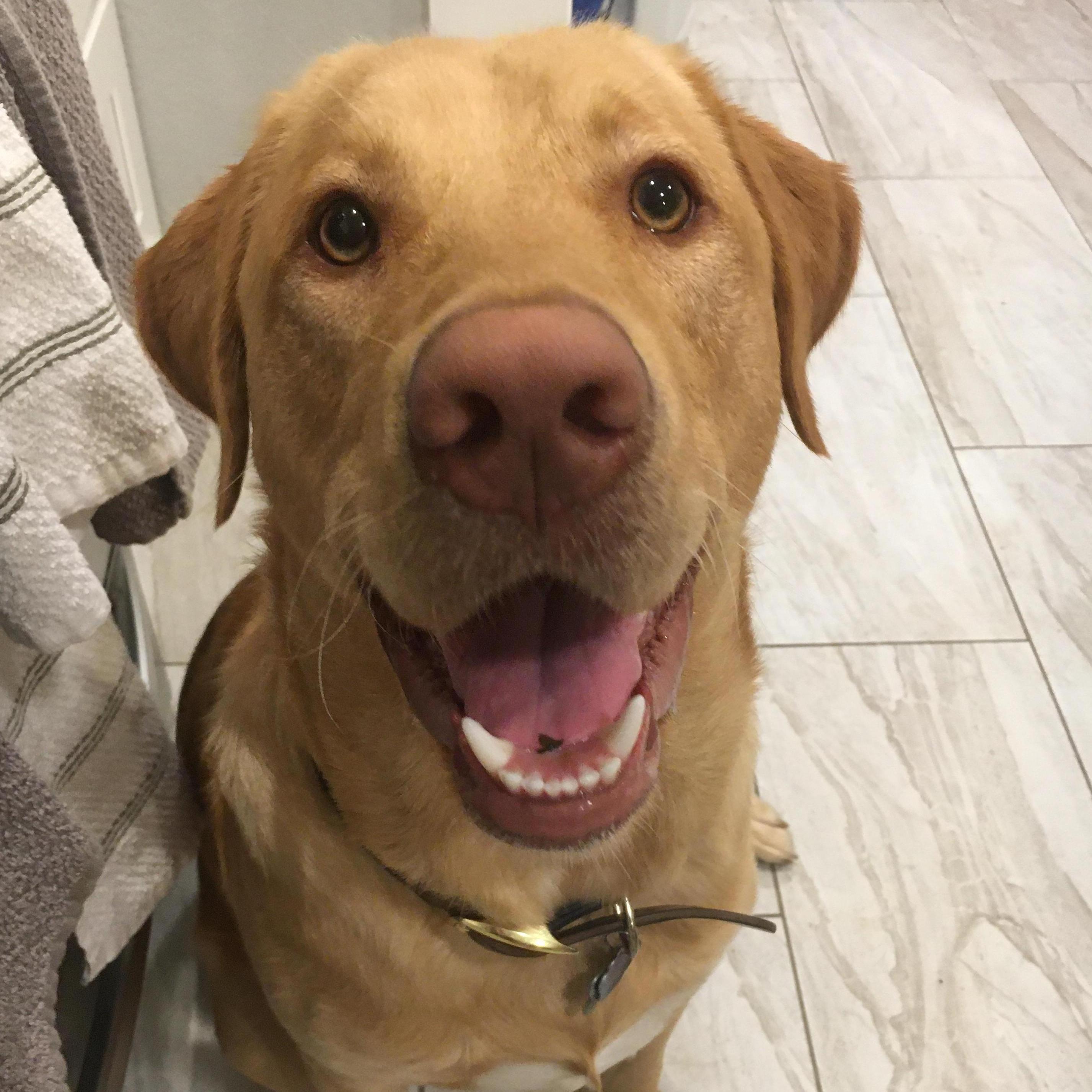 knox turns 1 year